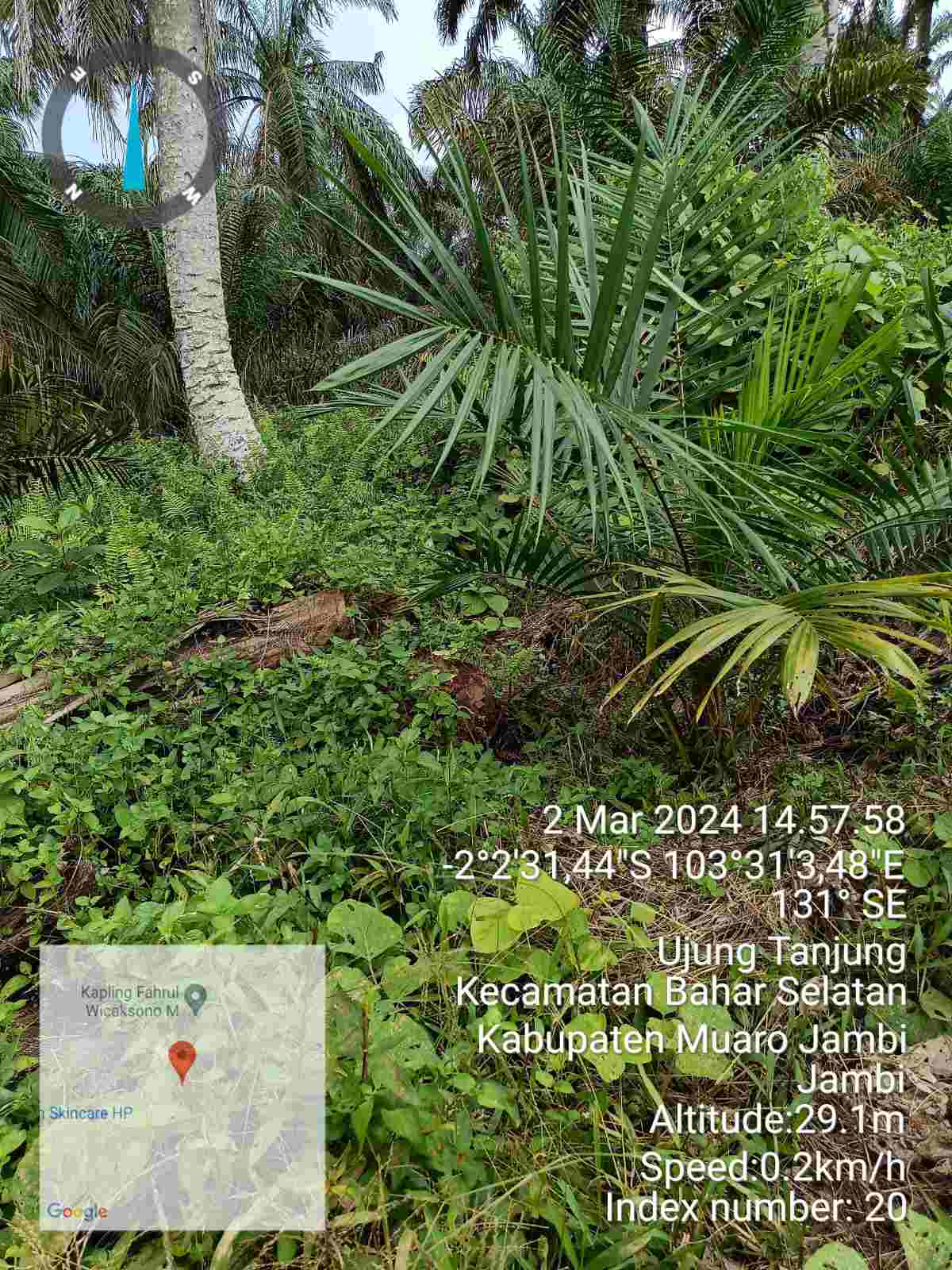 IMG-20240305-WA0115_kFKuZWbs88